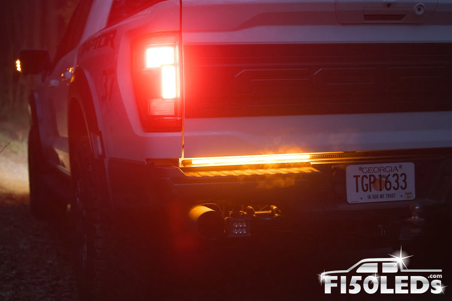 2021 - 2023 F150 Sentinel CREE LED Tailgate Bar