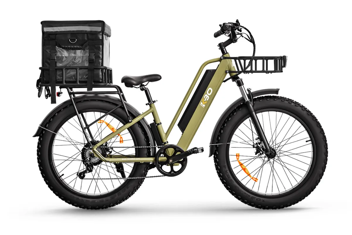 All-Terrain Electric Bike KBO Tornado