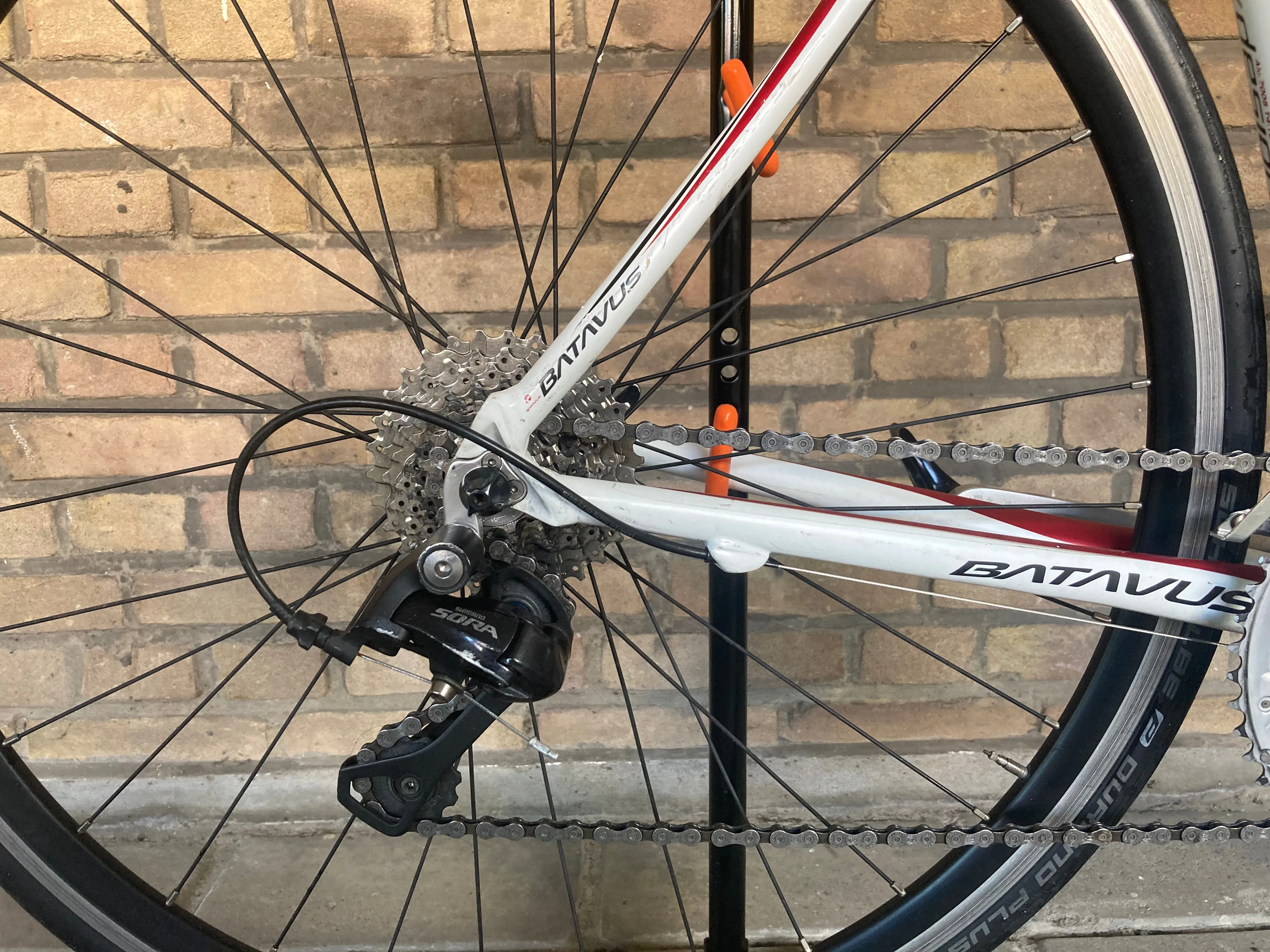 Batavus Challenge 58cm (sloping) Shimano Sora