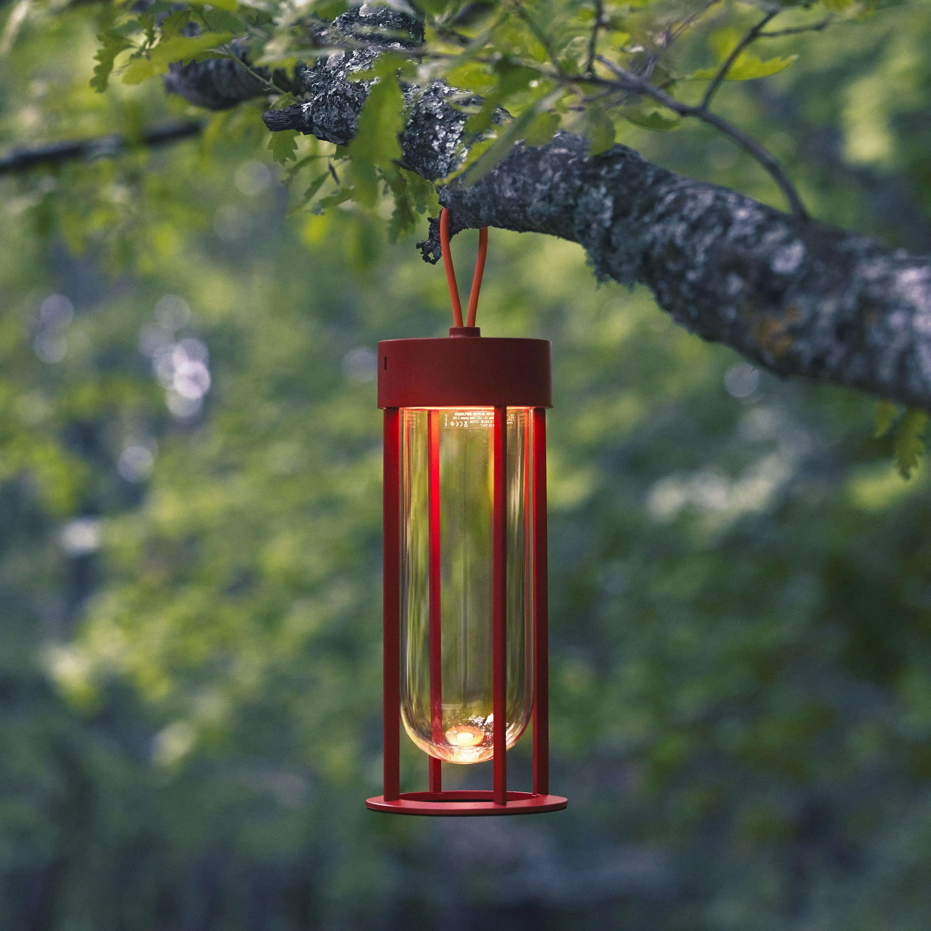 In Vitro Unplugged Lamp