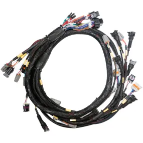 LINK ECU Terminated Engine Harness GM LS Gen 3 Gen 4 For use with Storm & Xtreme BF24