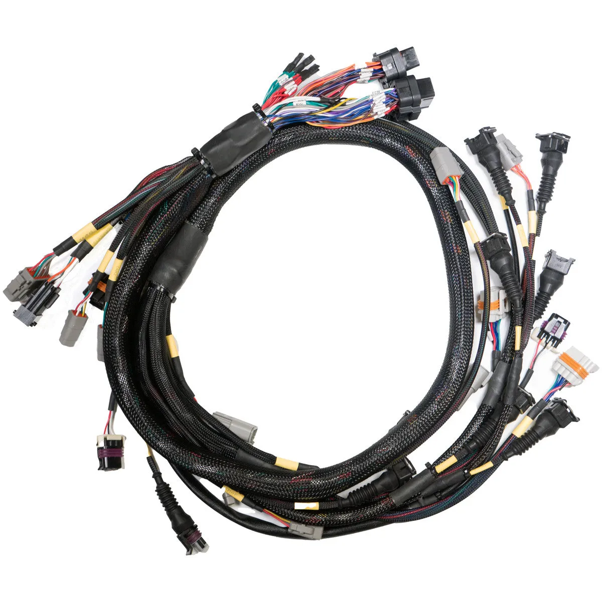 LINK ECU Terminated Engine Harness GM LS Gen 3 Gen 4 For use with Storm & Xtreme BF24