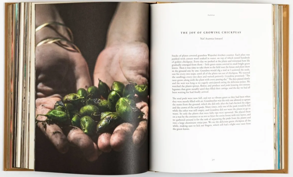 On the Hummus Route: A Journey Between Cities, People, and Dreams