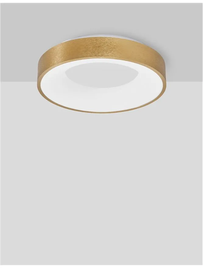 RAN Brushed Gold Aluminium & Acrylic Dimmable Warm Light Ring Flush Small - ID 10615
