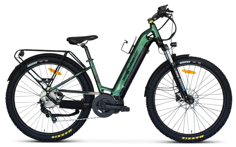 Wattwheels Bighorn LS 2023 Model